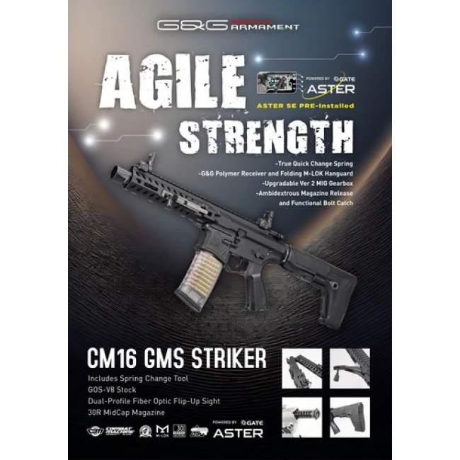 G&G CM16 GMS Striker - Image 2