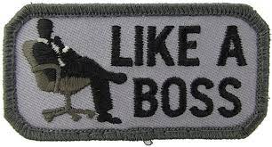 Mil-Spec Monkey "Like A Boss" Hook and Loop Patch (Color: SWAT)